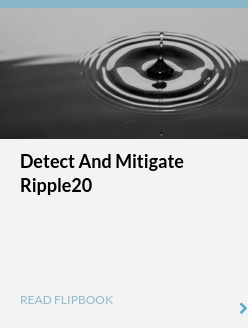 Detect and Mitigate Ripple20